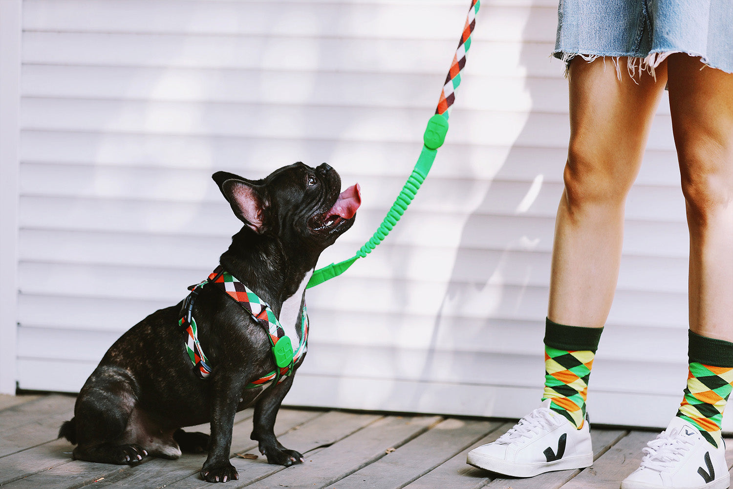 Pet Hygiene Essentials Every Owner Needs