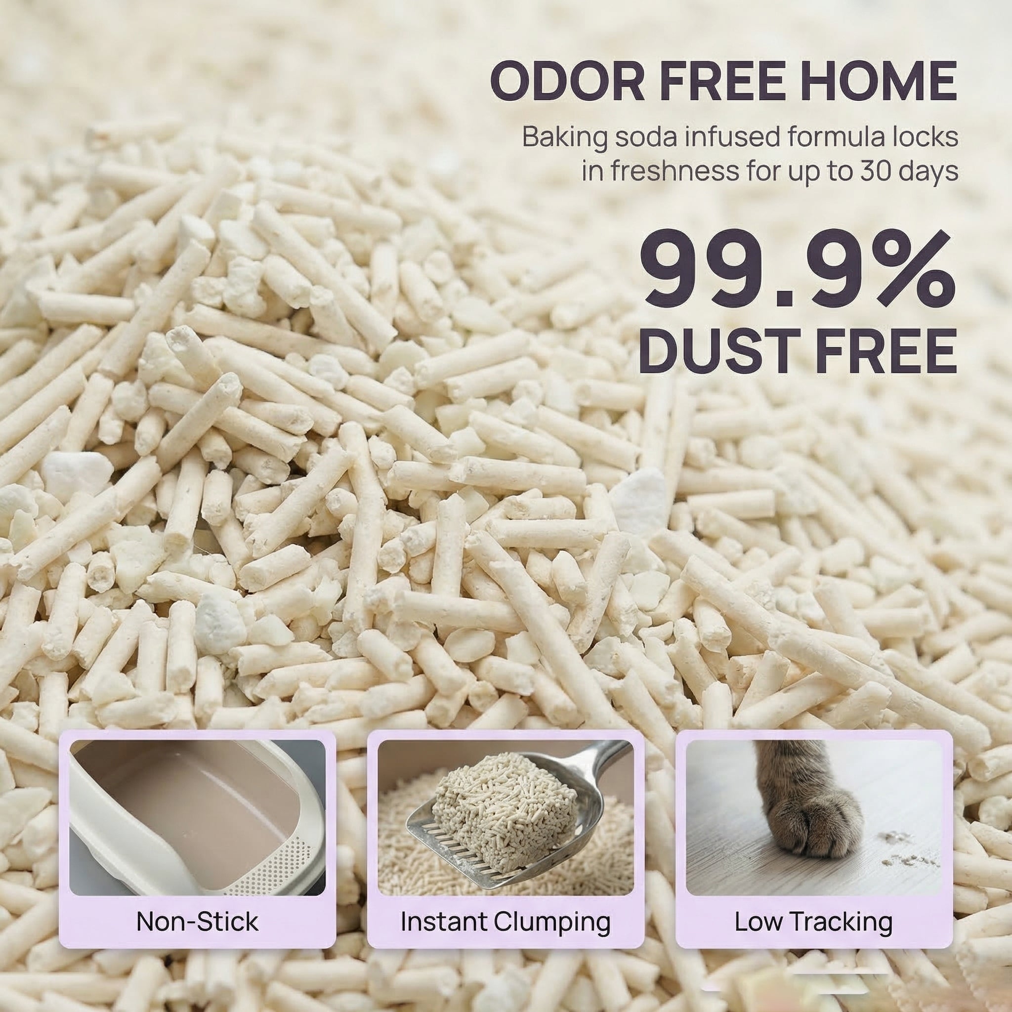 Cassava Tofu Cat Litter