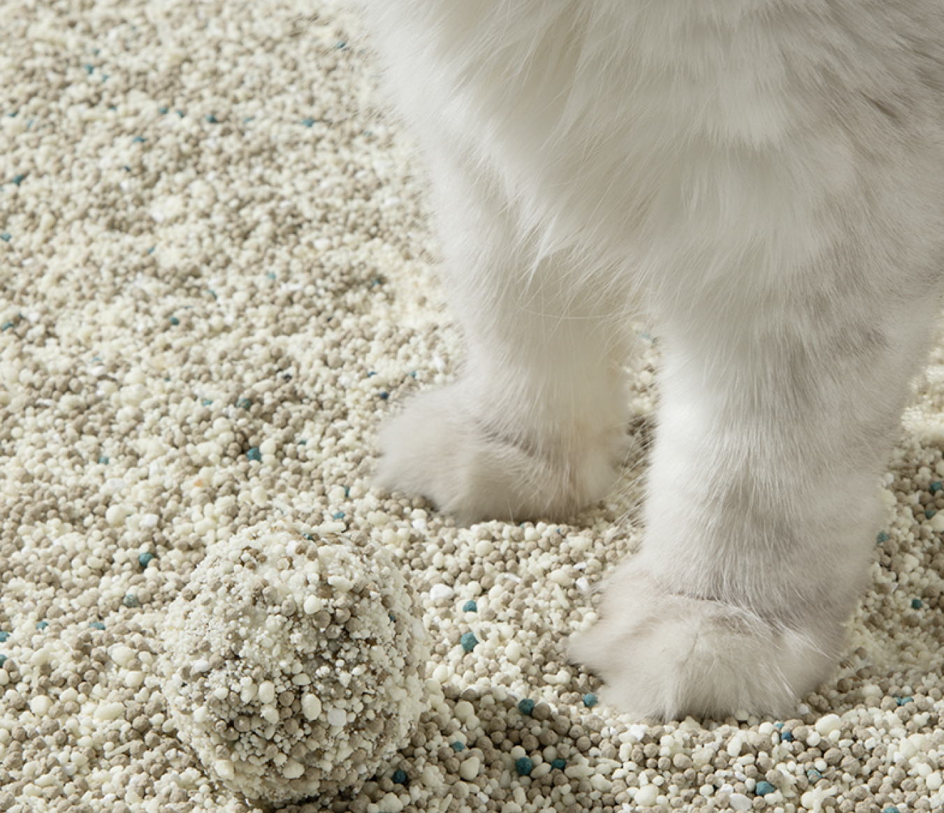 Plant mixed bentonite cat litter