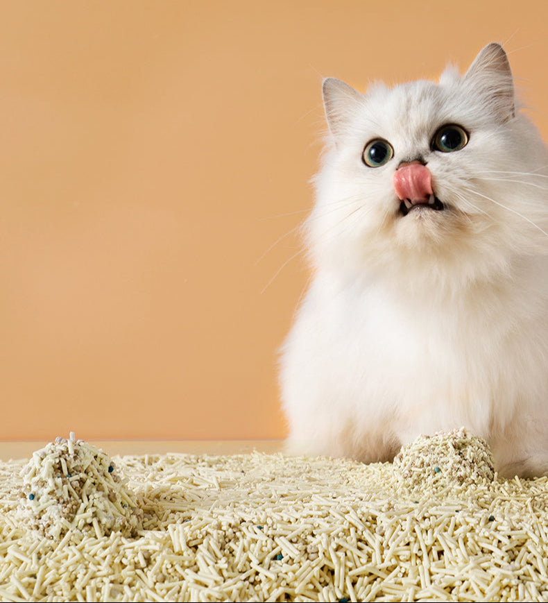 Original Tofu Cat Litter Fine Mixed Bentonite 1.5mm 2.5kg