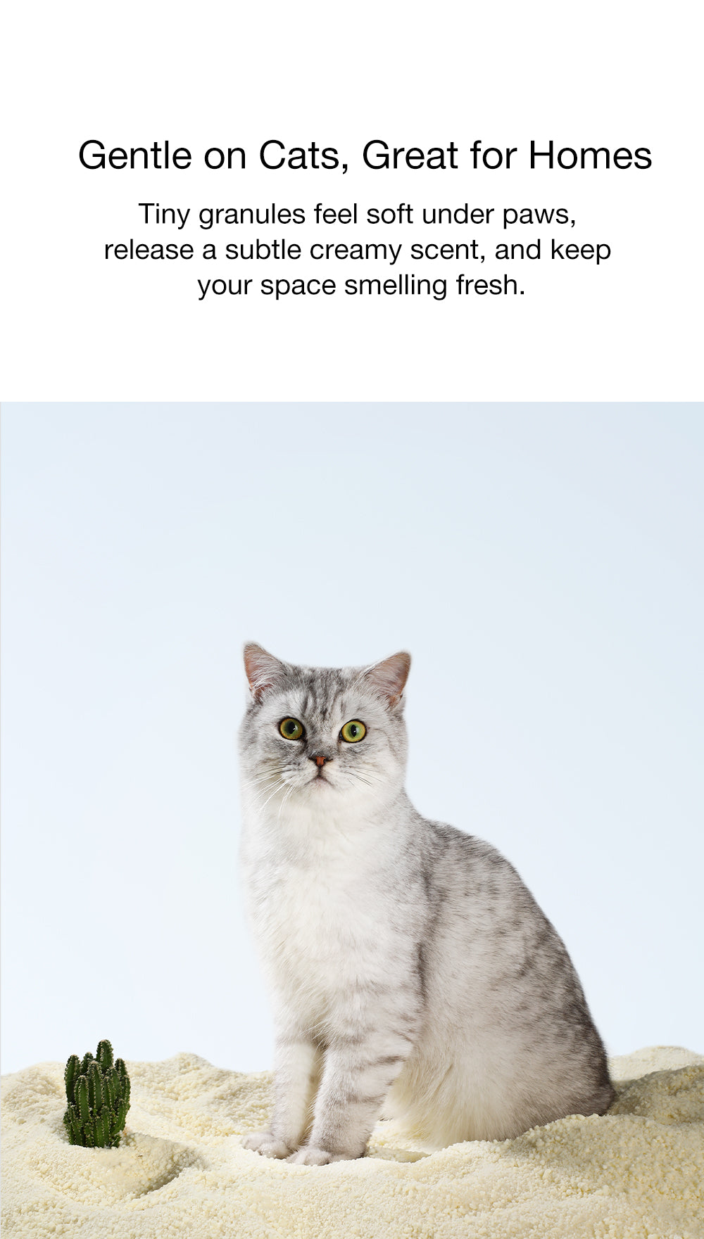 Cassava cat litter